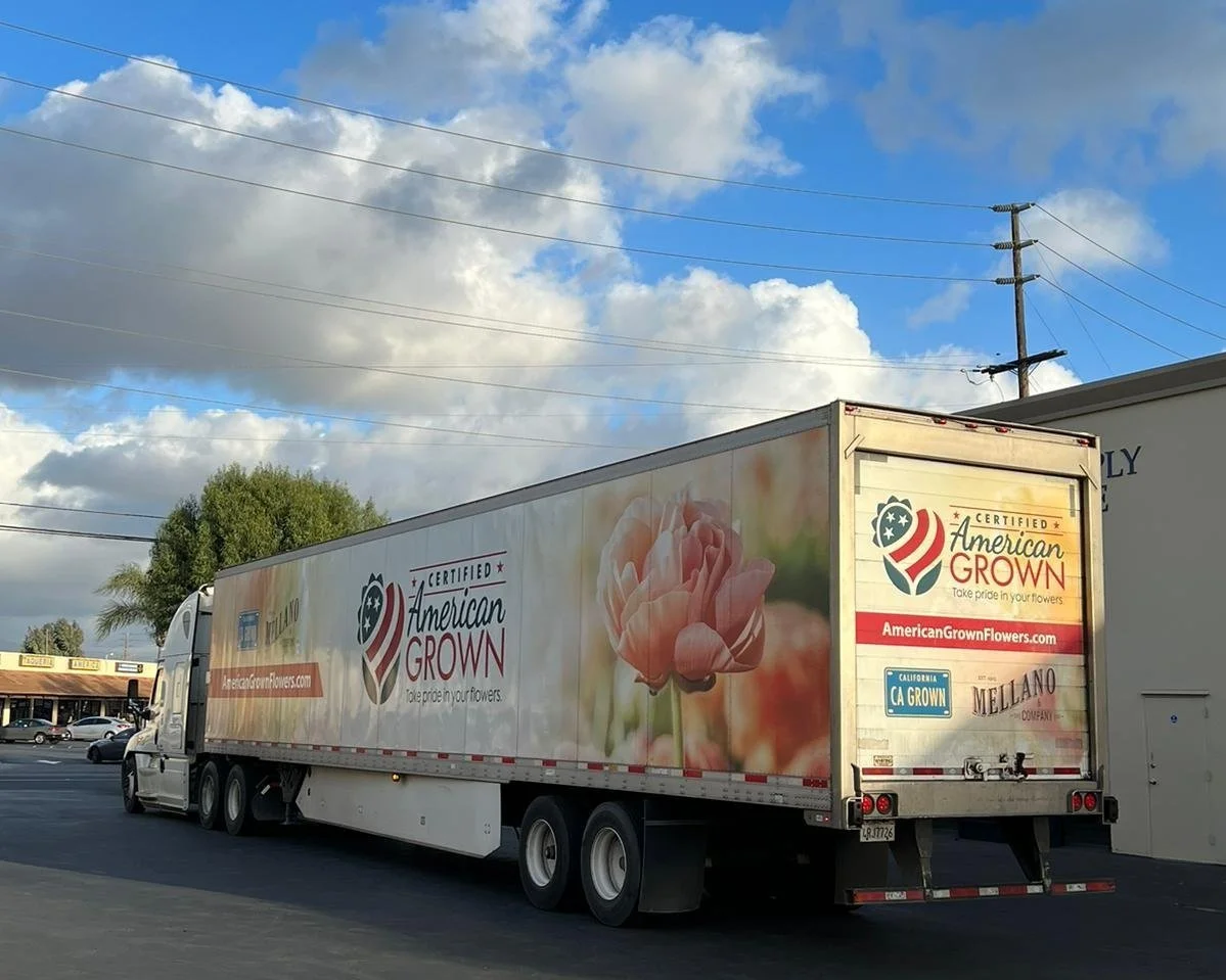 Alert temperatury dla kierowcy floty Kierowca sprawdzający alert temperatury na pulpicie cyfrowym w kabinie ciężarówki